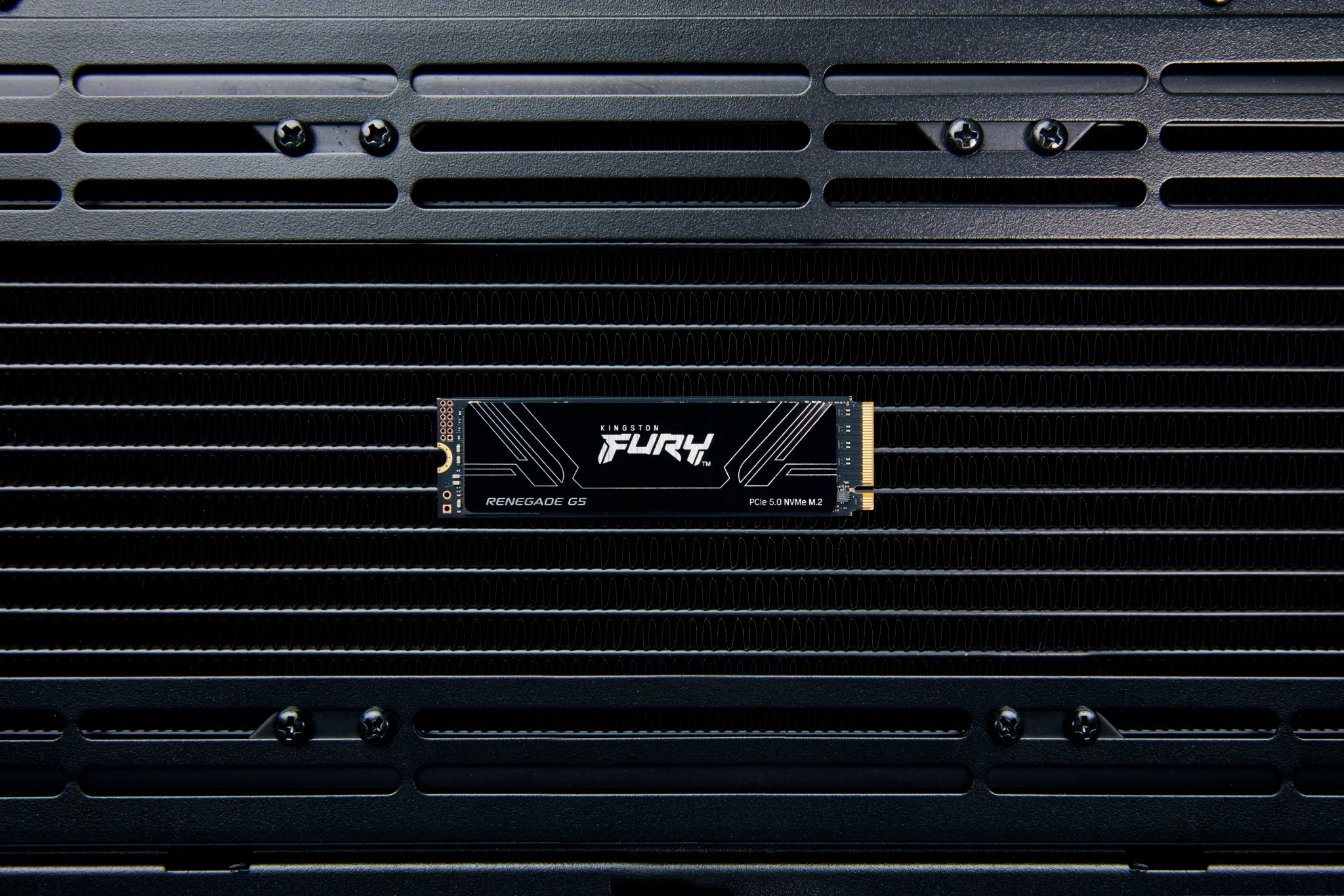 Imagen 5 de Unidad SSD Kingston FURY 1TB M.2 22*80 PCIe 5.0 Lec14200MB/s Esc11000 MB/s