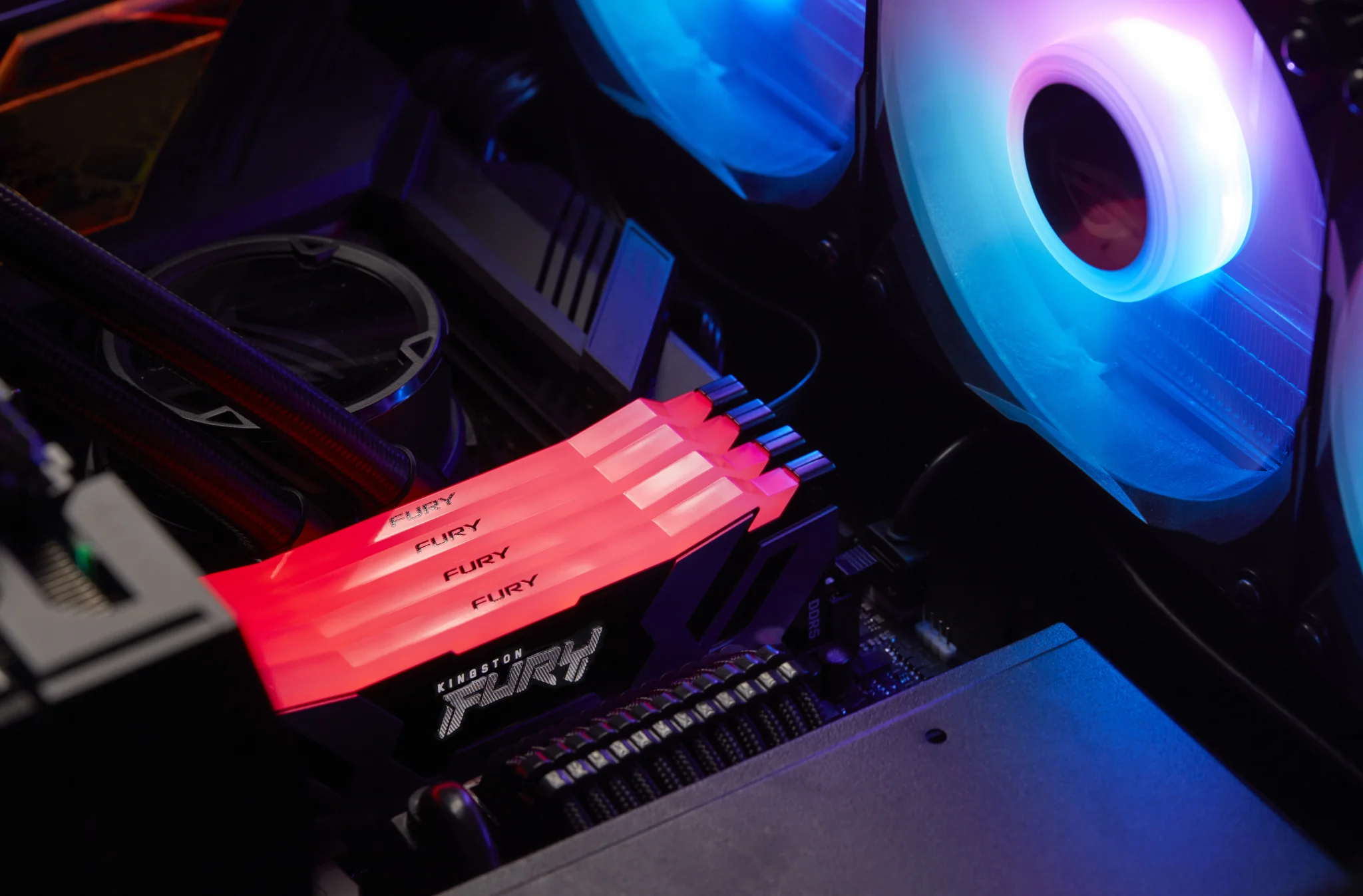 Imagen 5 de Memoria RAM 24GB DDR5 6400MHz DIMM CL32 Non-ECC 1.4v 288p - Fury Renegade RGB