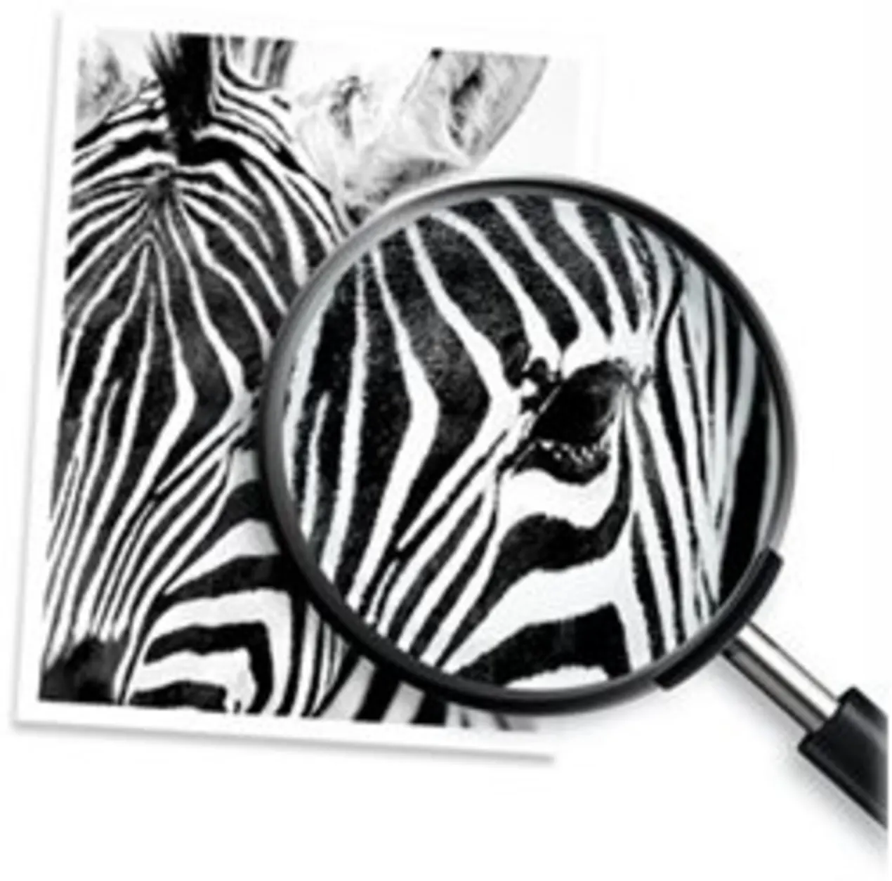 Imagen 10 de Cartridge HP 670 Negro Tinta para Imp Deskjet 3525/4615/4625/5525, 250Pág 7.5ml