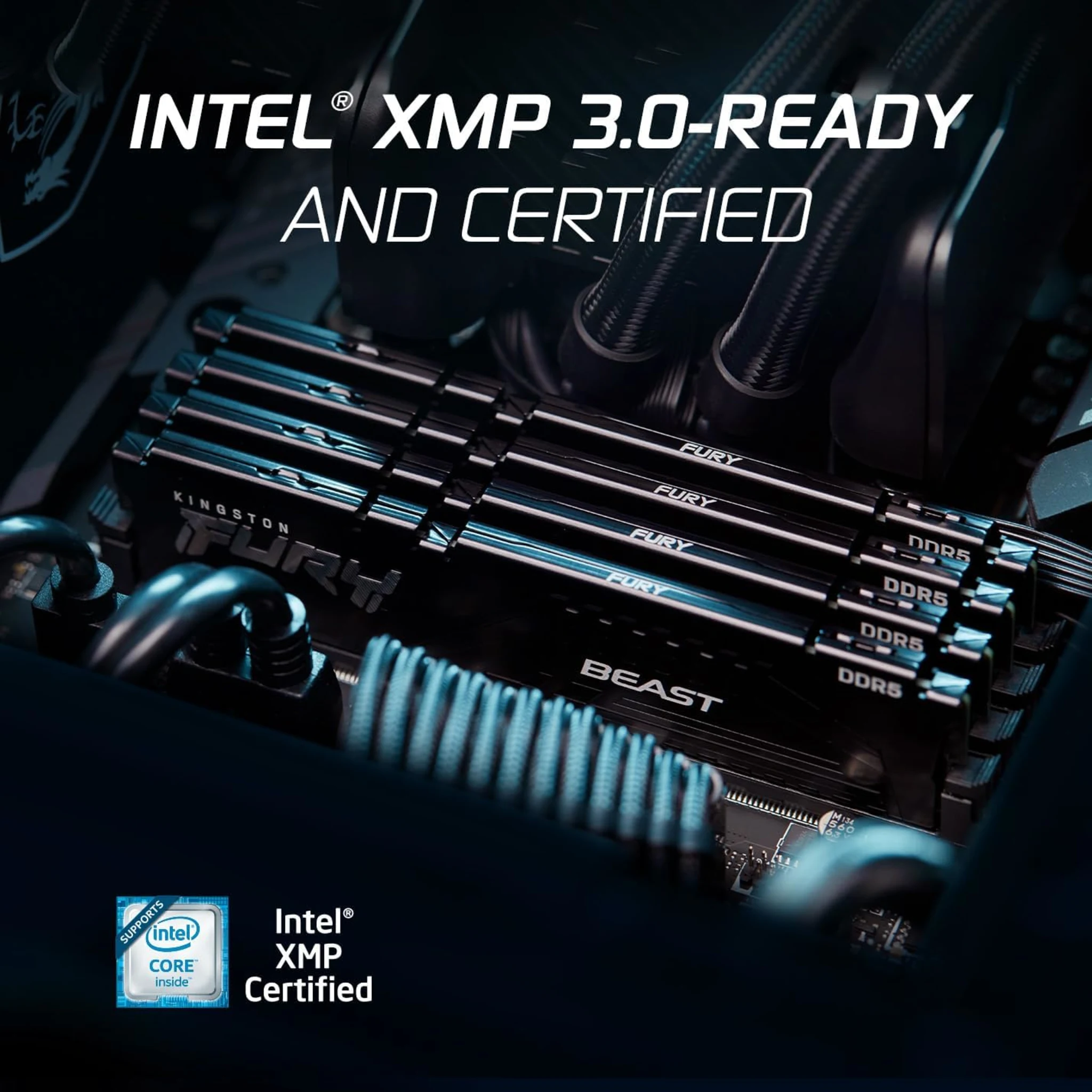 Imagen 6 de Memoria RAM 16GB DDR5 6400MHz DIMM CL32 Non-ECC 1.4v 288p FURY Beast Black EXPO