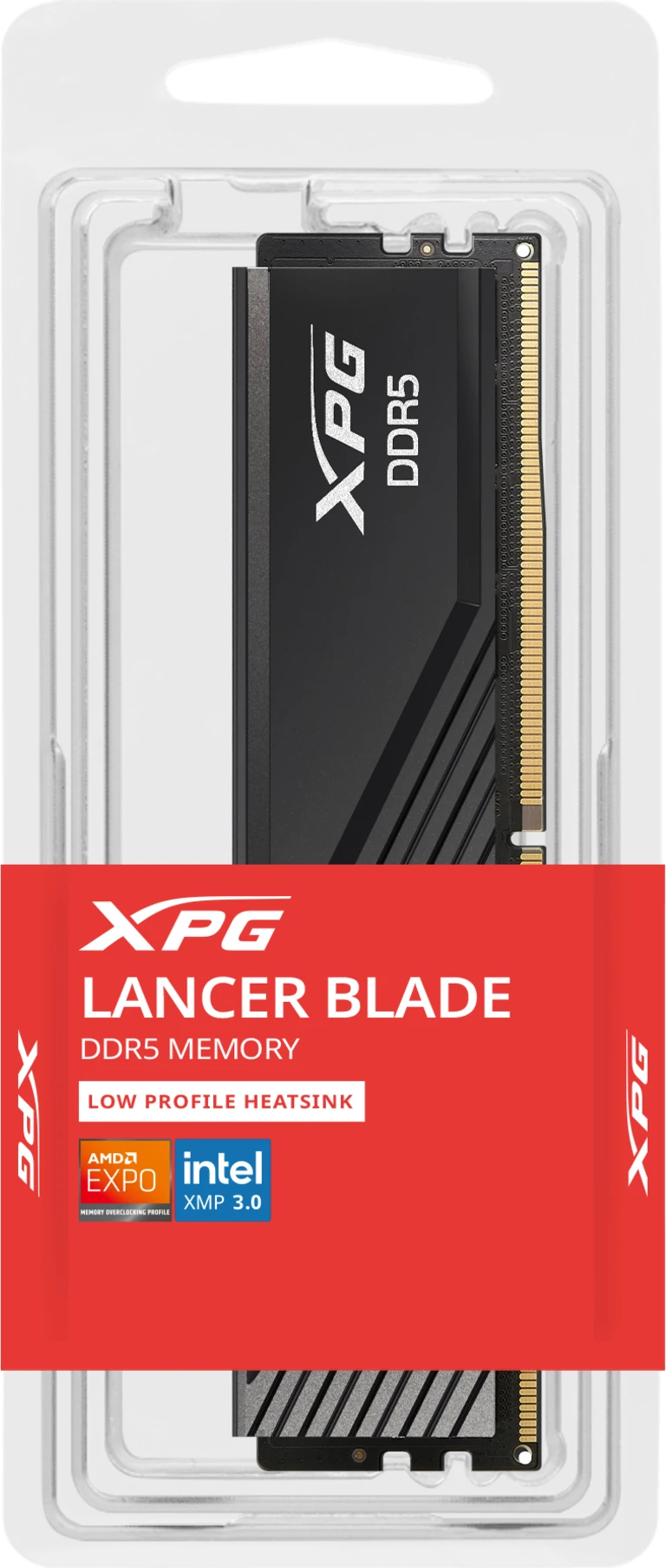 tecnomas.cl | [AX5U5600C4616G-SLABBK] Memoria RAM 16GB DDR5 5600MHz