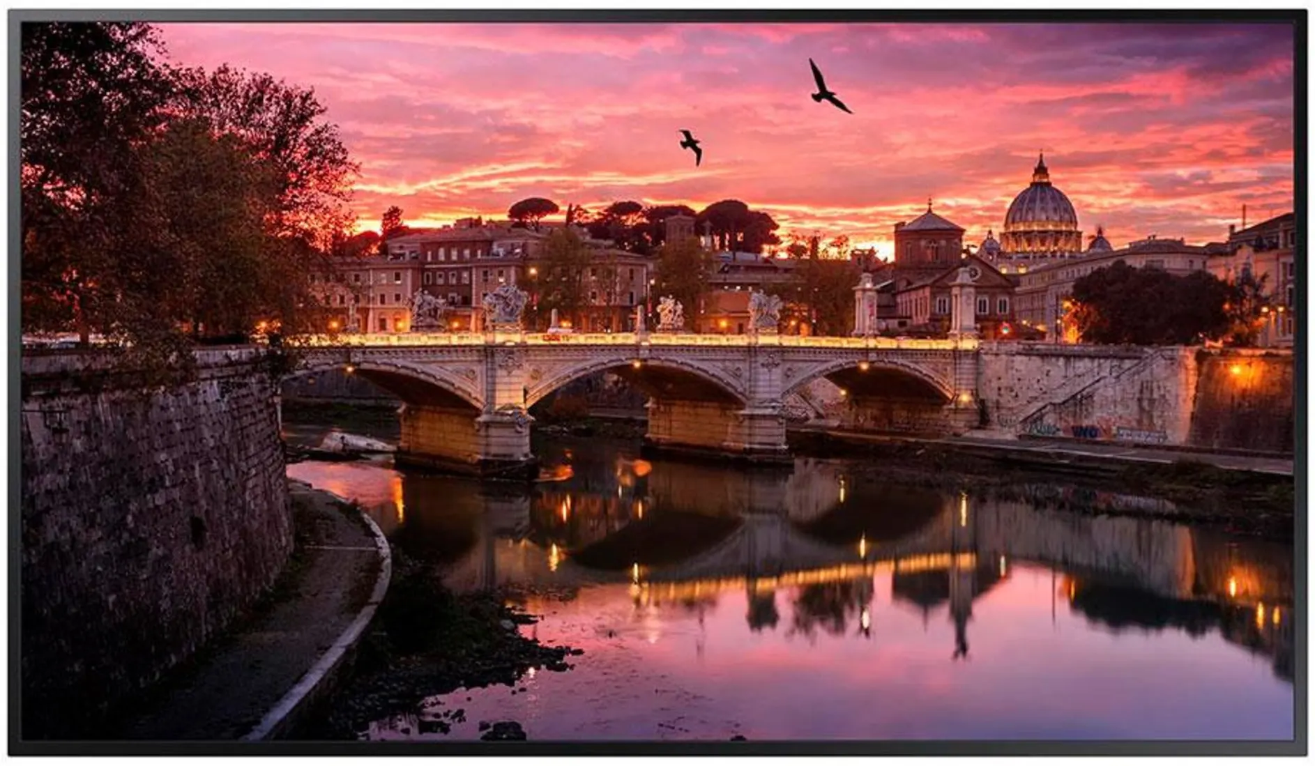 Imagen 0 de Monitor Profesional 16/7 Samsung QBB 4K UHD 43" 2160p VA WiFi LAN 5*HDMI 2*USB 