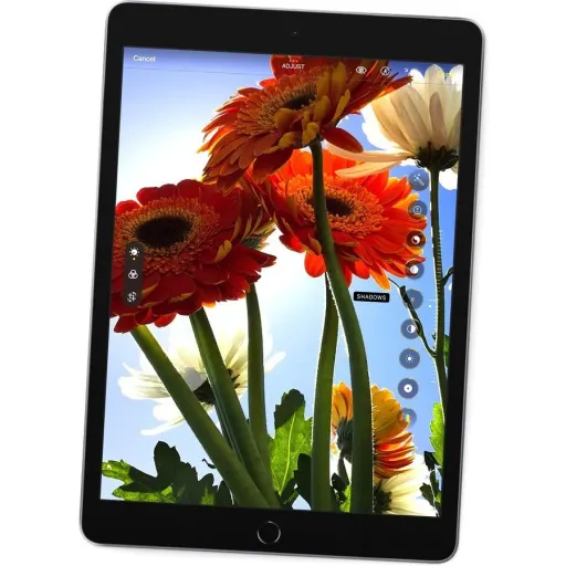 Imagen 21 de iPad 10.2 9ªGen WiFi 64 GB gris espacial