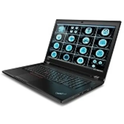 Imagen 0 de Lenovo - Notebook - 17.3" - 1920 x 1080 LCD - Intel Xeon E-2276M / 2.8 GHz - 32 GB DDR4 SDRAM - 1 TB SSD - NVIDIA Quadro RTX 5000 - Windows 10 Pro for Workstations 64-bit Edition - Black - Spanish - 3-year warranty