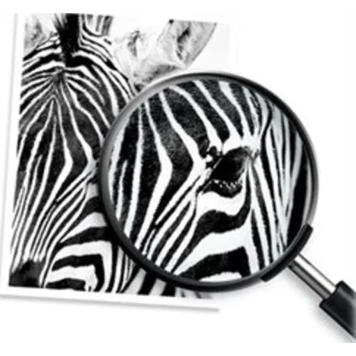 Imagen 9 de Cartridge de Tinta HP 970XL Negro