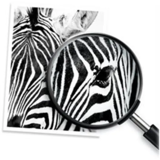 Imagen 2 de Cartucho de Tinta HP 904  Color Negro 300 pag. Comp. con: OfficeJet 6951 / 6970