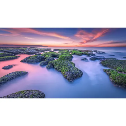 Imagen 7 de Televisor Xiaomi  Mi TV 50" 4K UHD3840*2160 SmartTV WiFi BT 3*HDMI 2*USB Google
