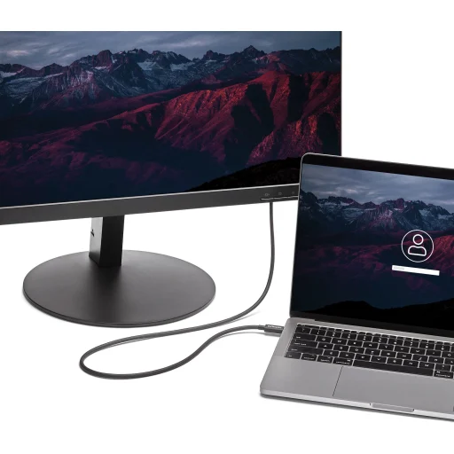 Imagen 1 de Cable 1m Thunderbolt 3 USB-C 20Gbps