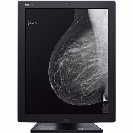 Imagen 1 de KIT Mamografía JUSHA M53, 2 X 21.3" 5MP X Monocr 5:4 LED IPS DVI-D + QUADRO P400