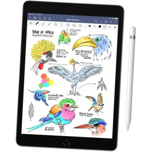 Imagen 26 de iPad 10.2 9ªGen WiFi 64 GB gris espacial