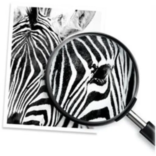 Imagen 4 de Cartucho de Tinta HP Negro DeskJet 20000 2200 paginas (HP 10)