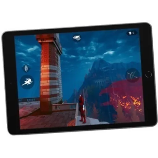Imagen 9 de iPad 10.2 9ªGen WiFi 64 GB gris espacial