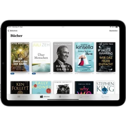 Imagen 13 de iPad mini 6 Gen Wi Fi 64 GB gris especial