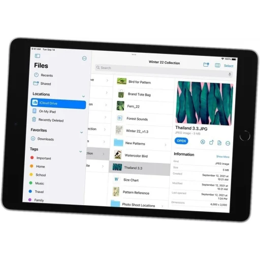 Imagen 19 de iPad 10.2 9ªGen WiFi 64 GB gris espacial