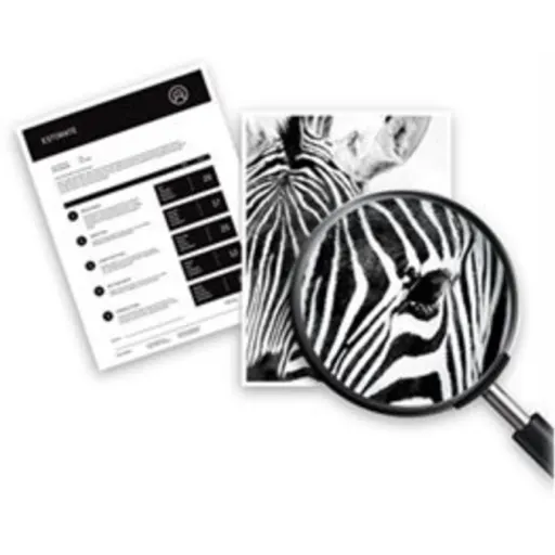 Imagen 7 de Cartucho de Tinta HP Negro DeskJet 20000 2200 paginas (HP 10)