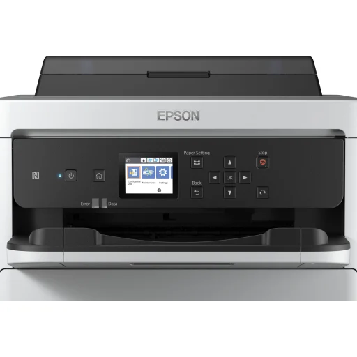 Imagen 4 de Bolsa de Tinta Epson T01D Negro para WF-C529R/C579R 50.000 Páginas