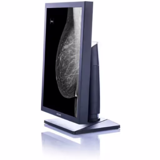 Imagen 3 de KIT Mamografía JUSHA M53, 2 X 21.3" 5MP X Monocr 5:4 LED IPS DVI-D + QUADRO P400