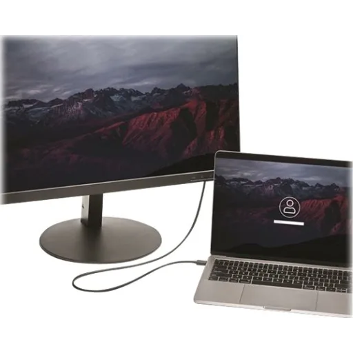 Imagen 15 de Cable Adaptador USB-C Macho a DisplayPort Hembra Longitud 1 Metro 4K 60Hz 