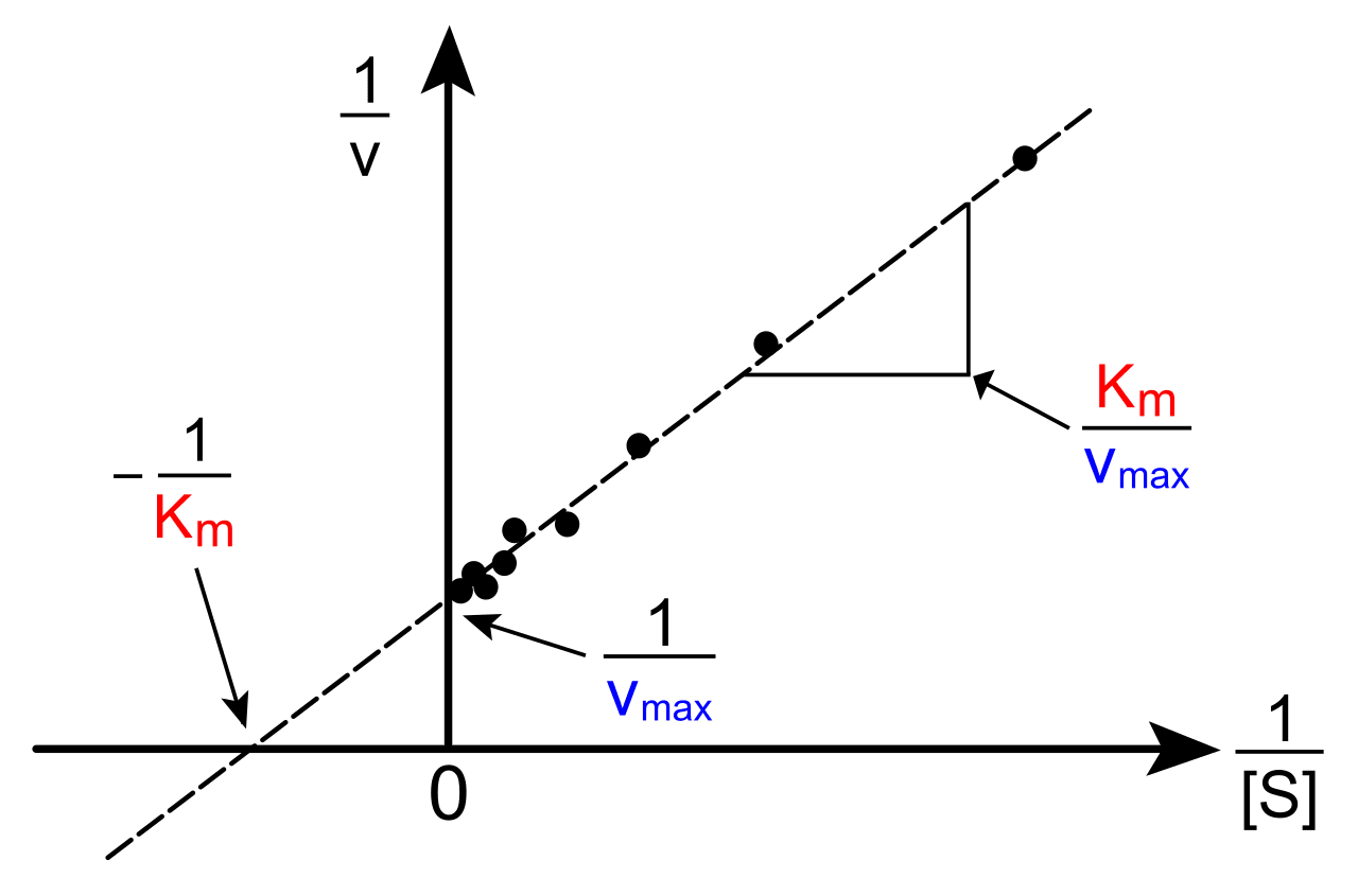 Image for question 3