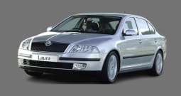 laura_car_cover_23339778