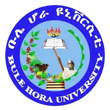 Bule Hora University