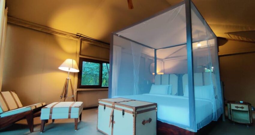 Safari Tent gallery 3