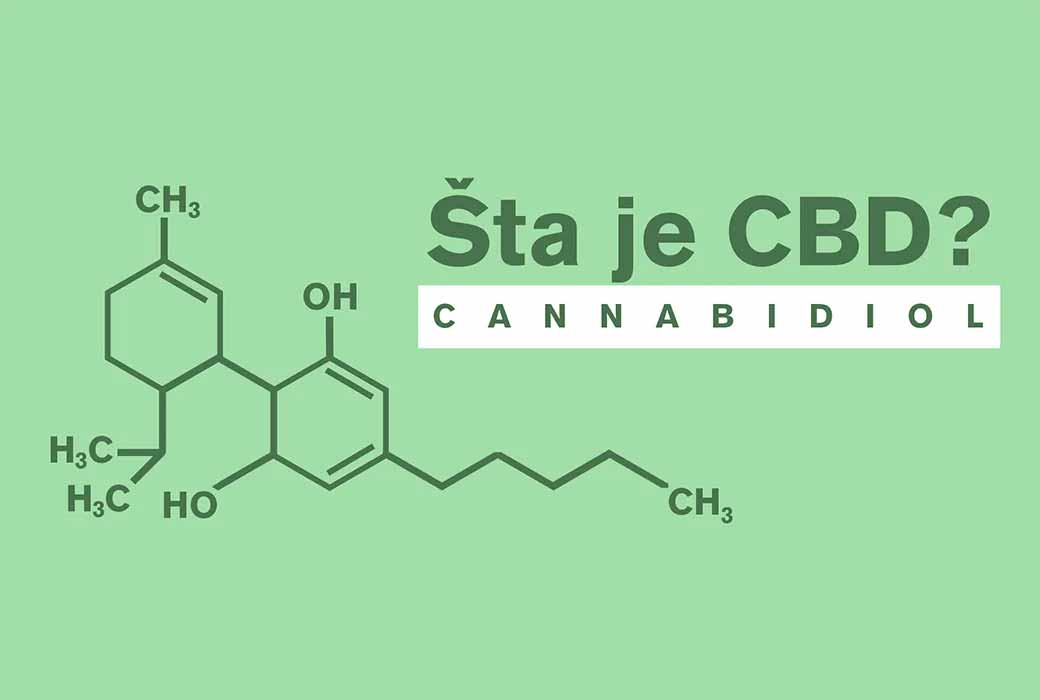 Sve što vas zanima o CBDu – ODGOVORENO