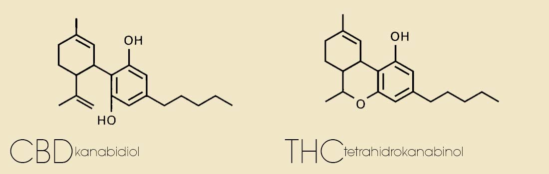 Hemijska struktura CBD-a i THC-a
