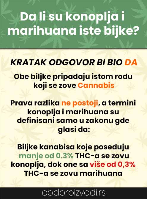 CBD proizvodi - Da li su industrijska konoplja i marihuana ista biljka - Koja je razlika