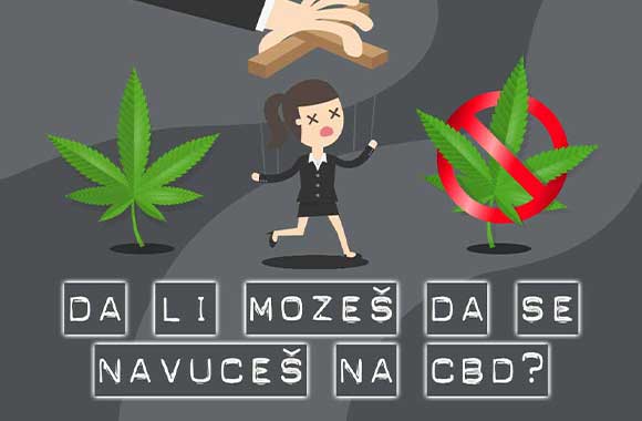 Da li možeš da se navučeš na CBD?