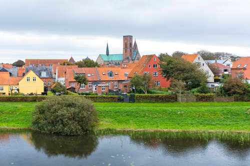 Ribe