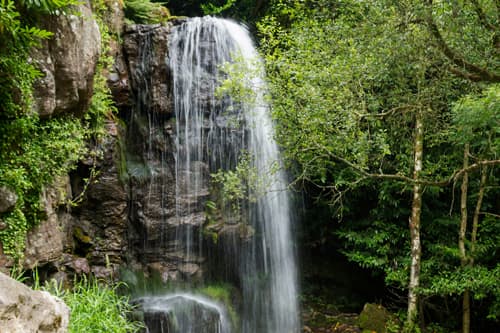 Kilfane Glen