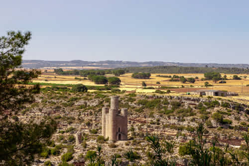 region-image