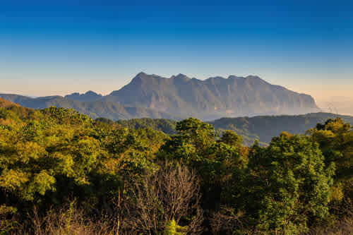 region-image