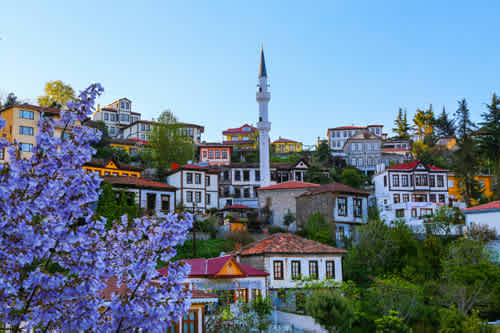 region-image