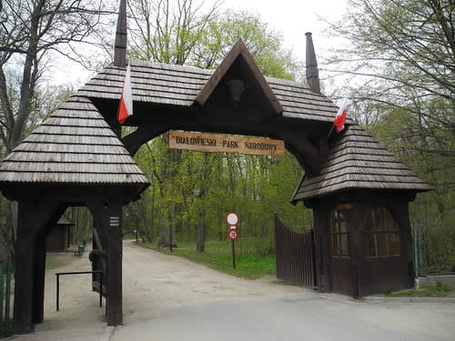 Bialowieza National Park 