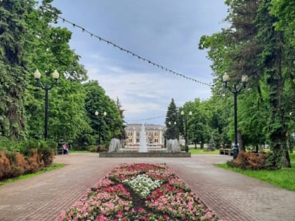 Синоптики обещают Тамбову на этой неделе до 27 градусов тепла