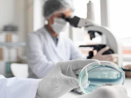 В 307 клещах, снятых с укушенных тамбовчан, обнаружили инфекцию