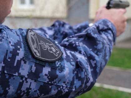 Тамбовские росгвардейцы задержали двух мужчин по подозрению в кражах