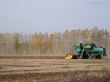 Тамбов-информ - новости Тамбова и области