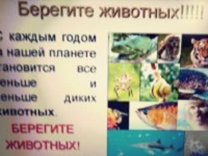 В Вольновершинском библиотечном филиале для детей был проведён экологический урок на тему "Любите и берегите животных"