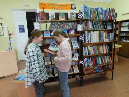 Кое-что из жизни кошек