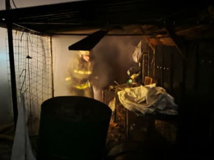 Под Тамбовом загорелись надворные постройки