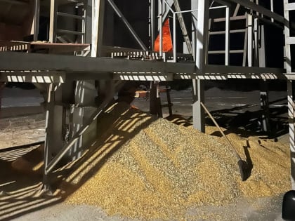 В Тамбовской области двух рабочих насмерть засыпало кукурузой