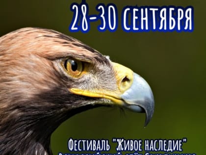В Тамбовской области открыт Всероссийский слёт сокольников