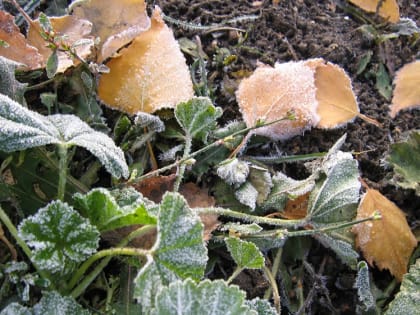 О погоде на финальные октябрьские выходные