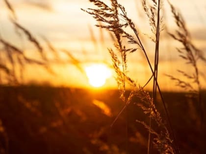 Магнитные бури могут стать причиной инфарктов и инсультов