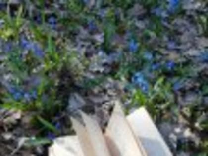 "19 апреля отмечают День подснежника"