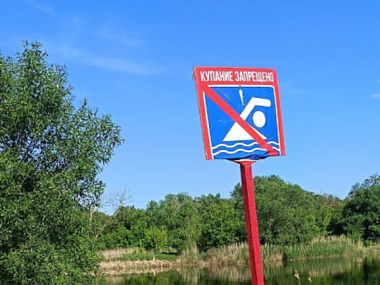 Тамбовчанам запретили купаться на 12 пляжах