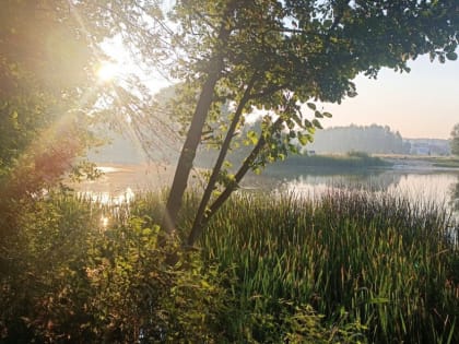 В выходные в Тамбове ожидается до +24 градусов